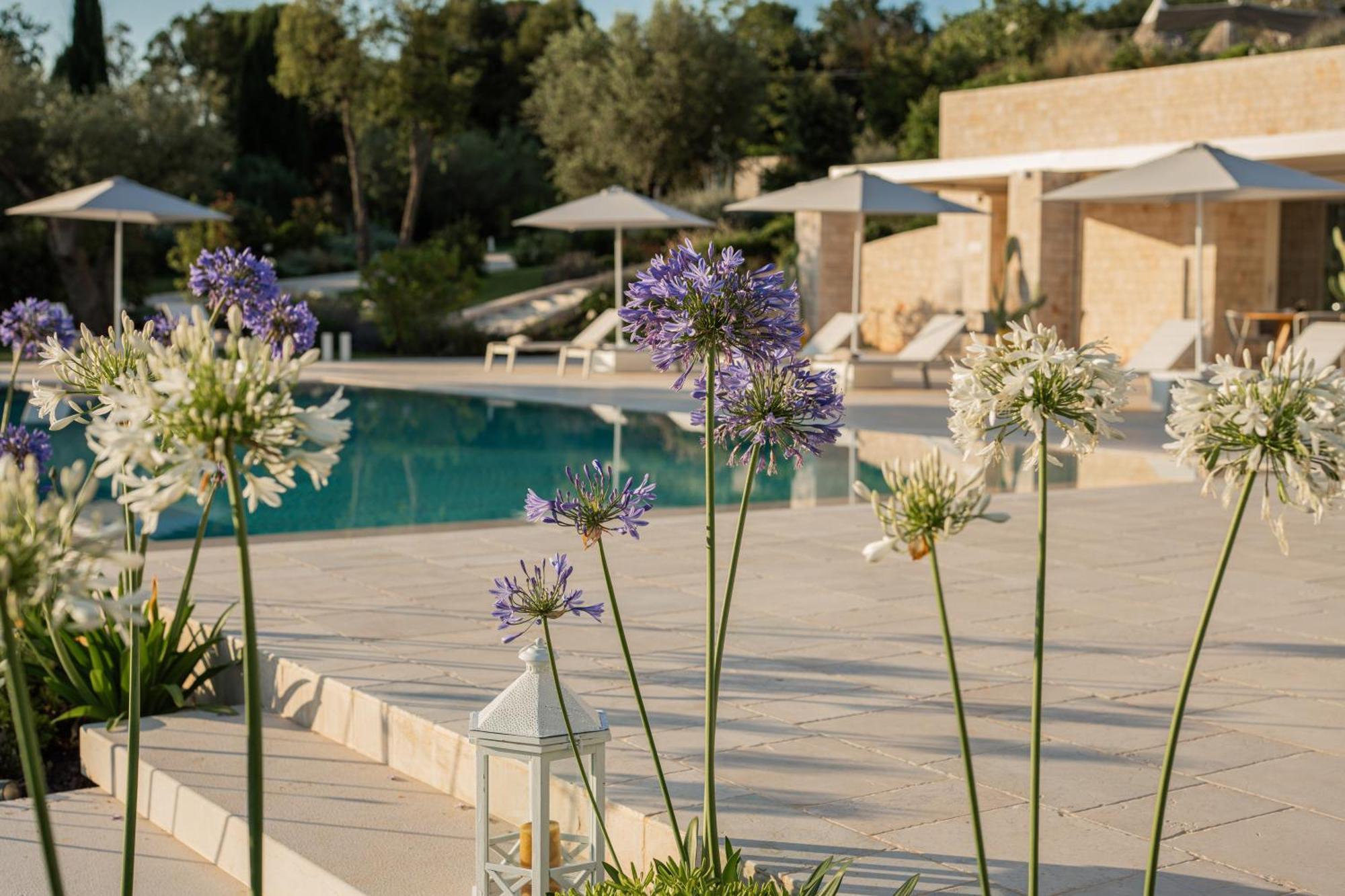 Essenza Relais Contemporaneo Bed & Breakfast Cisternino Luaran gambar